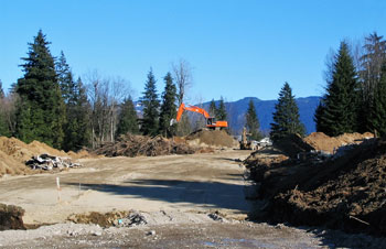 Land Clearing Mission BC