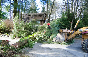 Land Clearing Mission BC