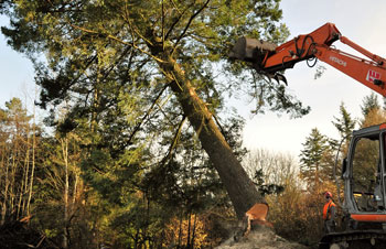 Land Clearing Mission BC